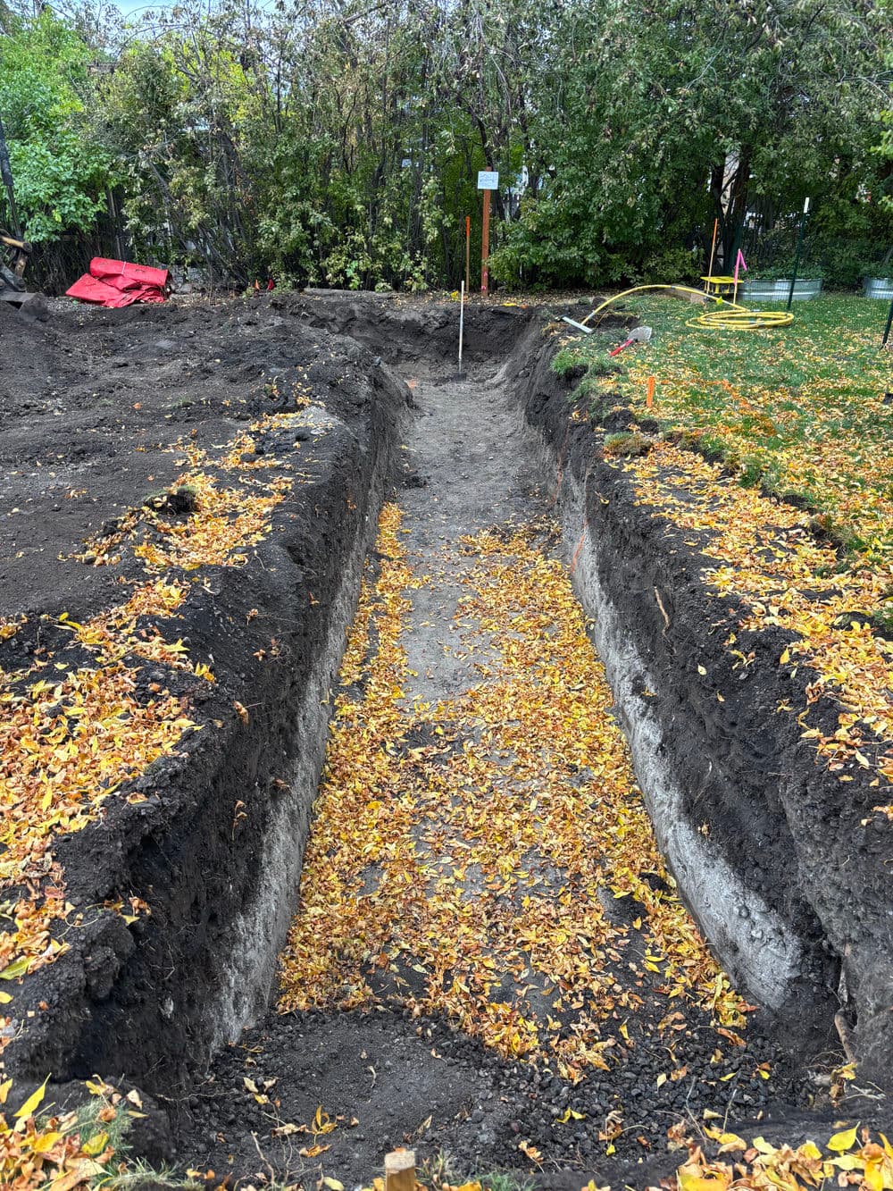 Excavated trench with autumn leaves, surrounded by green trees and construction markers.