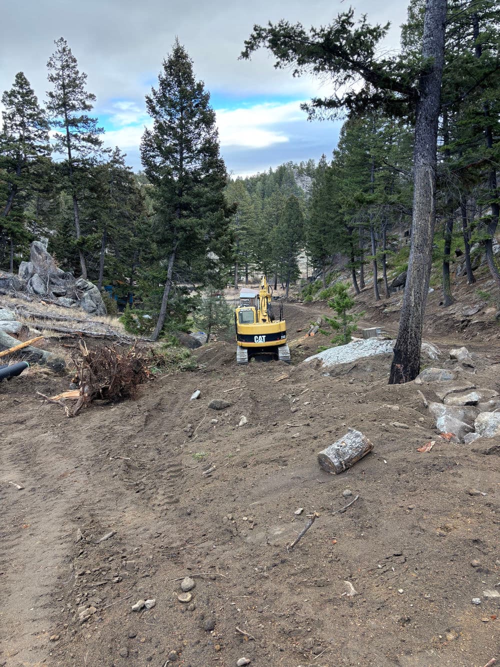Excavator working in a forest area with trees and rocky terrain.